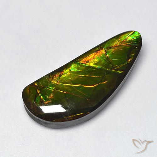 10.60ct Natural Multicolor Ammolite, Fancy, Opaque