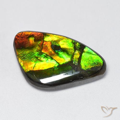 11.5 ct Fancy Ammolite, 23.3 x 14 mm From Canada, Photo A