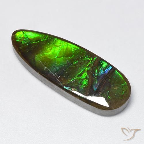 12.78ct Natural Multicolor Ammolite, Fancy, Opaque