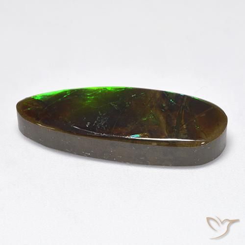 Ammolite Gemstone in 26.9 x 9.7 mm Size for Sale, Ammolite Stone in Multicolor Color