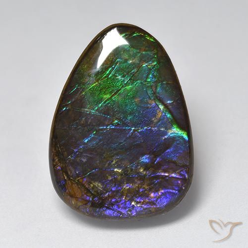 17.96ct Natural Multicolor Ammolite, Fancy, Opaque