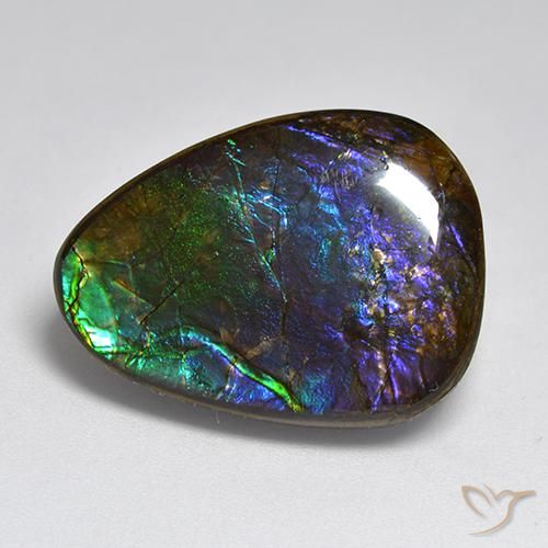 17.96 ct Multicolor Ammolite Stone, Natural Ammolite in Fancy Cabochon Shape for Sale