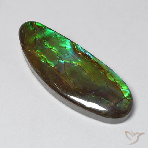 18.94ct Natural Multicolor Ammolite, Fancy, Opaque