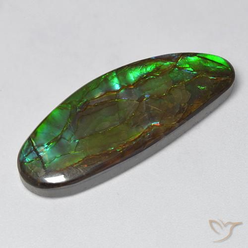18.94 ct Multicolor Ammolite Stone, Natural Ammolite in Fancy Cabochon Shape for Sale