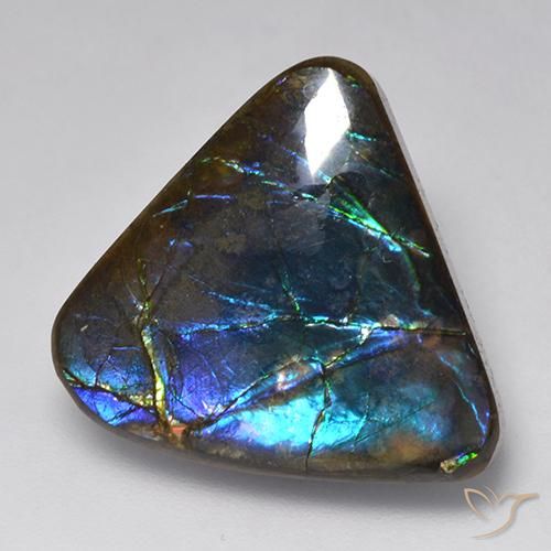 15.09 ct Fancy Ammolite, 20.6 x 18.8 mm From Canada, Photo A