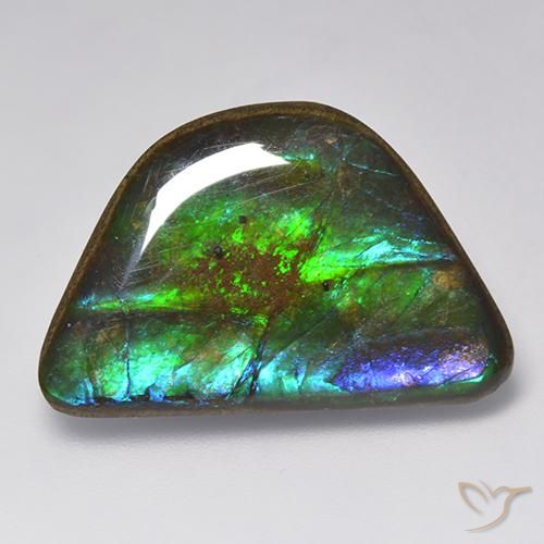 15.86 ct Fancy Ammolite, 25.7 x 16.9 mm From Canada, Photo A