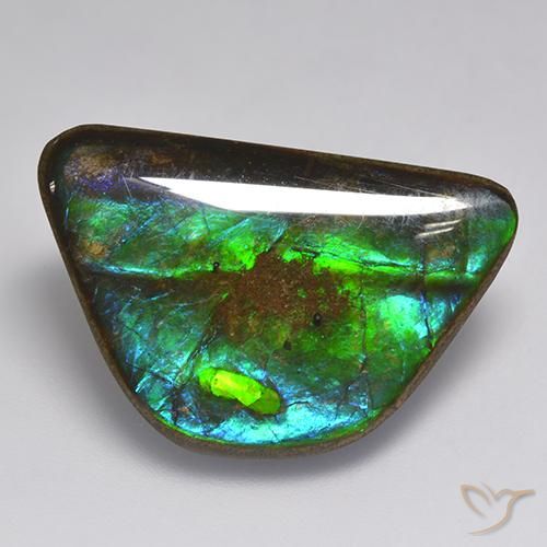 15.86 ct Multicolor Ammolite Stone, Natural Ammolite in Fancy Cabochon Shape for Sale
