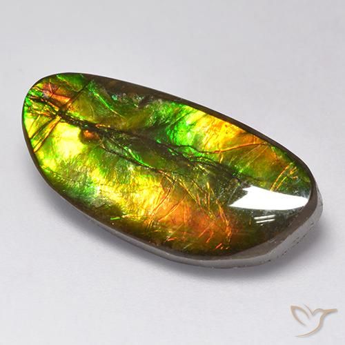 11.62 ct Multicolor Ammolite Stone, Natural Ammolite in Fancy Cabochon Shape for Sale