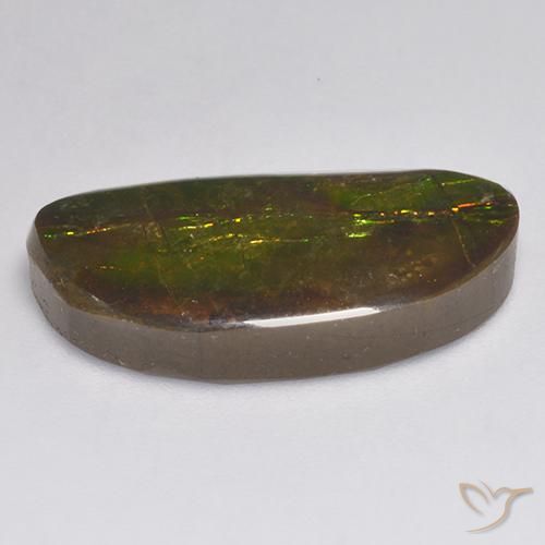 Ammolite Gemstone in 23.3 x 11.2 mm Size for Sale, Ammolite Stone in Multicolor Color