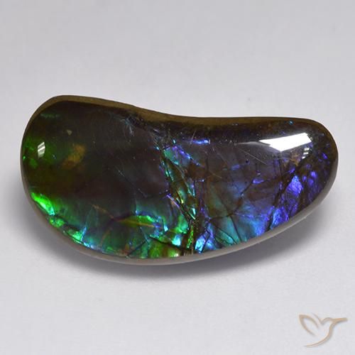 14.55ct Natural Multicolor Ammolite, Fancy, Opaque