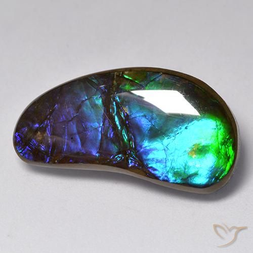 14.55 ct Multicolor Ammolite Stone, Natural Ammolite in Fancy Cabochon Shape for Sale