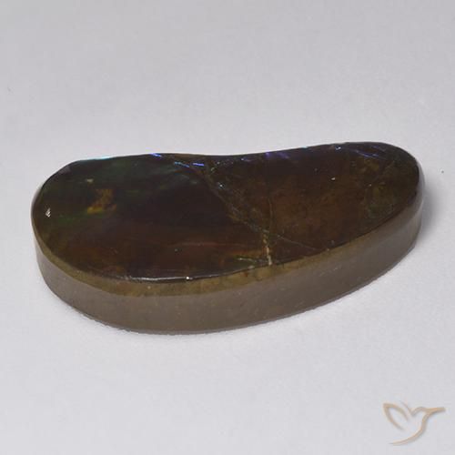 Ammolite Gemstone in 24.7 x 11.8 mm Size for Sale, Ammolite Stone in Multicolor Color