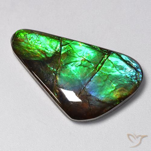 13.85 ct Multicolor Ammolite Stone, Natural Ammolite in Fancy Cabochon Shape for Sale