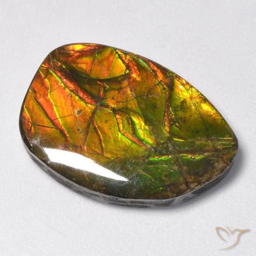 11.13 ct Multicolor Ammolite Stone, Natural Ammolite in Fancy Cabochon Shape for Sale