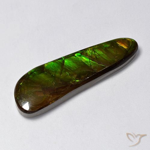 14.88ct Natural Multicolor Ammolite, Fancy, Opaque