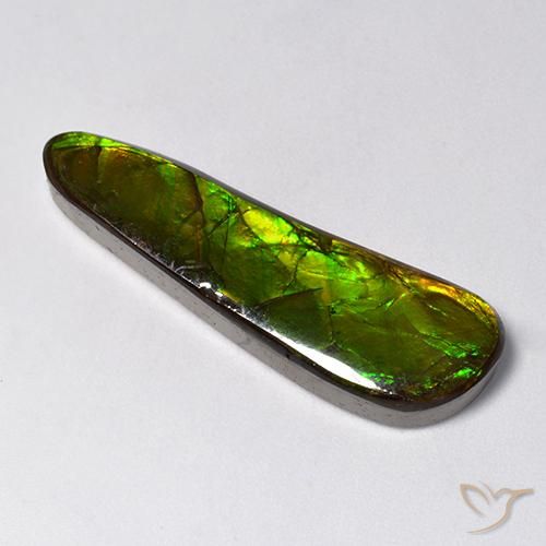14.88 ct Multicolor Ammolite Stone, Natural Ammolite in Fancy Cabochon Shape for Sale