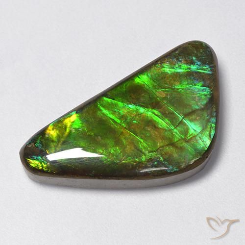 13.28ct Natural Multicolor Ammolite, Fancy, Opaque