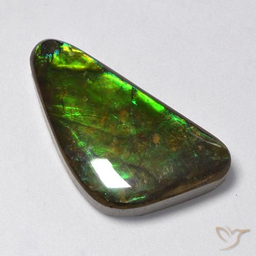 13.28 ct Multicolor Ammolite Stone, Natural Ammolite in Fancy Cabochon Shape for Sale