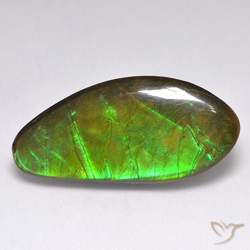 Amolita Multicolor Elegante de 15.77 ct de Canadá, dimensión 27,9x13,1 mm, piedra preciosa natural Ensamblada, claridad Opaco, Amolita Cabujón Elegante de 1 pieza, dureza de Mohs de 4 - 4 , Photo A