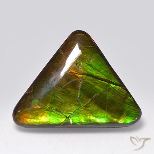 14.54ct Natural Multicolor Ammolite, Trillion, Opaque