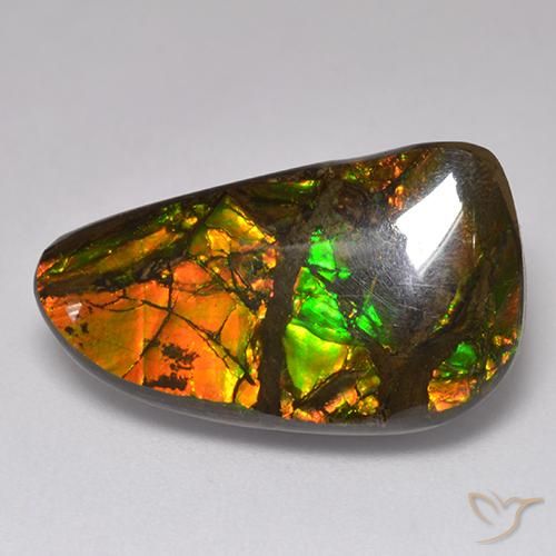 13.48 ct Fancy Ammolite, 22.5 x 12.9 mm From Canada, Photo A