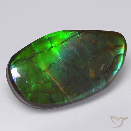 13.66 ct Multicolor Ammolite Gemstone, Ammolite Gem in Fancy Cabochon Shape for Sale.