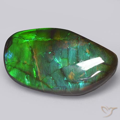 13.66 ct Multicolor Ammolite Stone, Natural Ammolite in Fancy Cabochon Shape for Sale