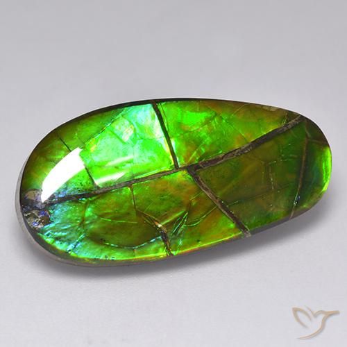 Multicolor Ammolite Gem - 17.1ct Fancy Cabochon (ID: 521315)