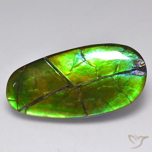 17.05 ct Multicolor Ammolite Stone, Natural Ammolite in Fancy Cabochon Shape for Sale