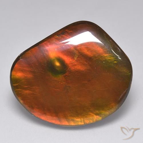 21.29ct Natural Multicolor Ammolite, Fancy, Opaque