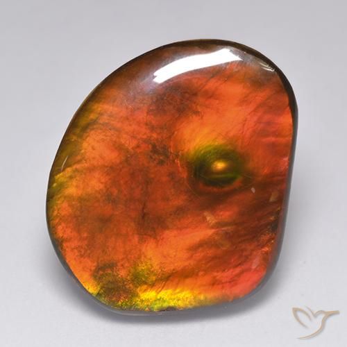 21.29 ct Multicolor Ammolite Stone, Natural Ammolite in Fancy Cabochon Shape for Sale