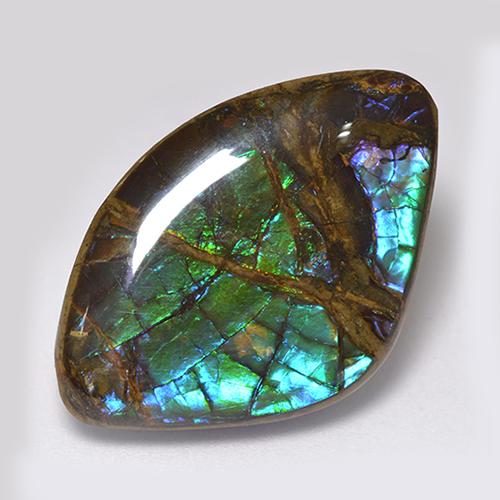 Amolita Multicolor Cabujón Elegante de 26,8 x 17,7mm de Canadá, peso de 18.11ct, piedra preciosa Ensamblada de forma natural en claridad Opaco, Amolita de 1 pieza: el color es Multicolor, dureza Mohs de 4, Photo A
