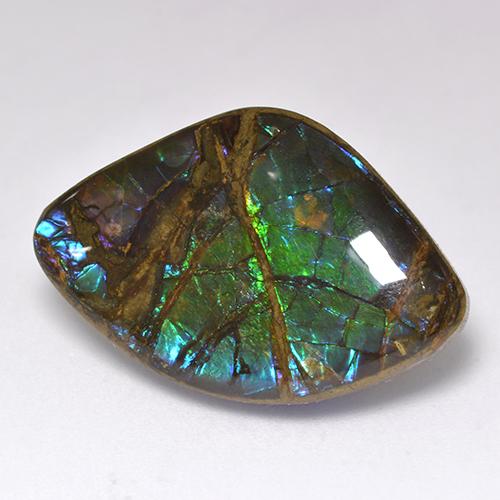 18.11 ct Multicolor Ammolite Stone, Natural Ammolite in Fancy Cabochon Shape for Sale