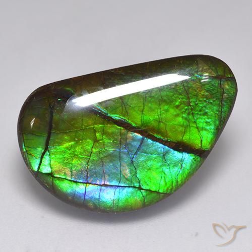 15.82 ct Multicolor Ammolite Stone, Natural Ammolite in Fancy Cabochon Shape for Sale