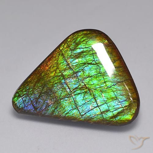 19.82ct Natural Multicolor Ammolite, Fancy, Opaque