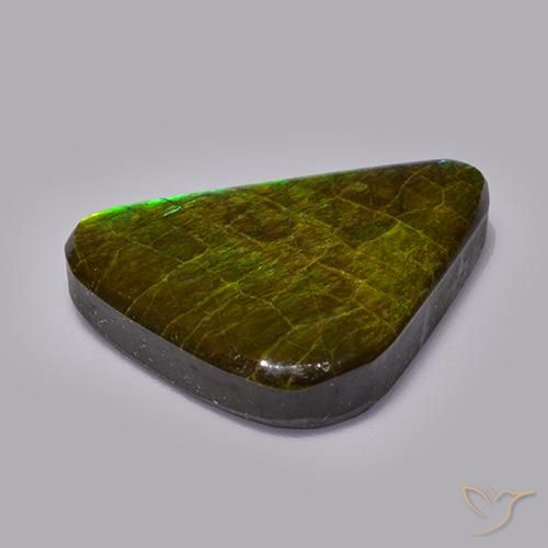 Ammolite Gemstone in 25 x 18 mm (calibrated) Size for Sale, Ammolite Stone in Multicolor Color