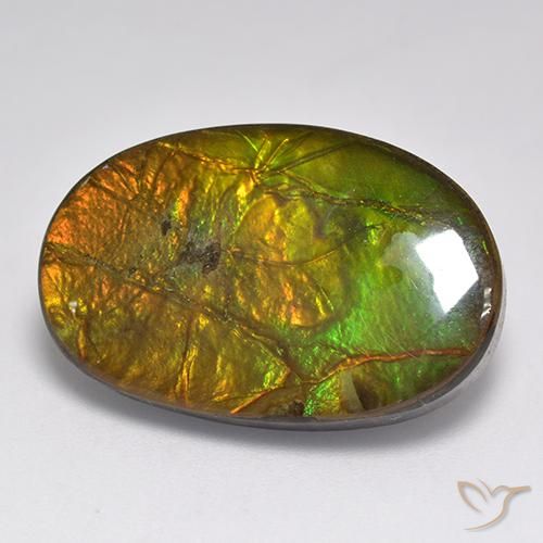 18.91ct Natural Multicolor Ammolite, Oval, Opaque