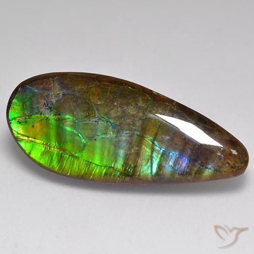 20.06ct Natural Multicolor Ammolite, Fancy, Opaque