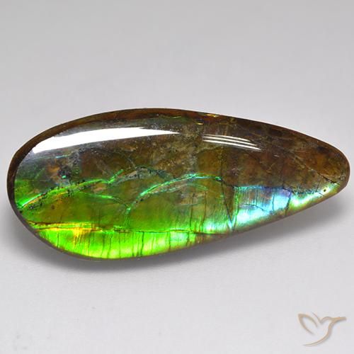 20.06 ct Multicolor Ammolite Stone, Natural Ammolite in Fancy Cabochon Shape for Sale