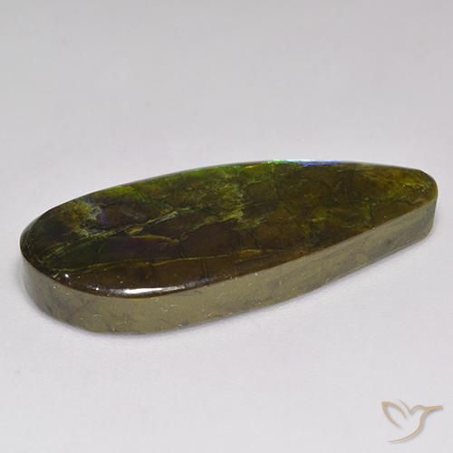 Ammolite Gemstone in 31.4 x 13.6 mm Size for Sale, Ammolite Stone in Multicolor Color