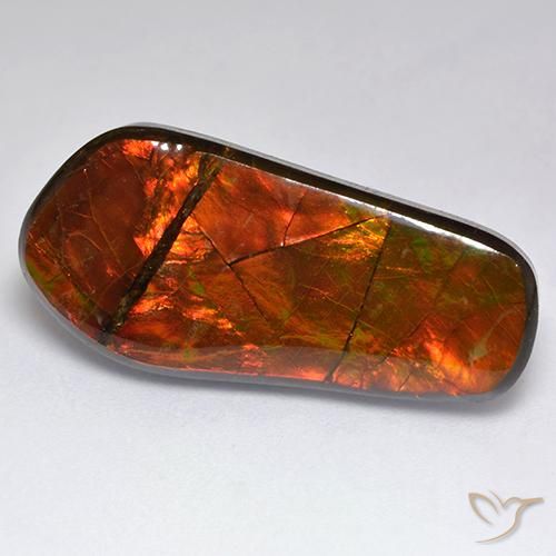 15.53ct Natural Multicolor Ammolite, Fancy, Opaque