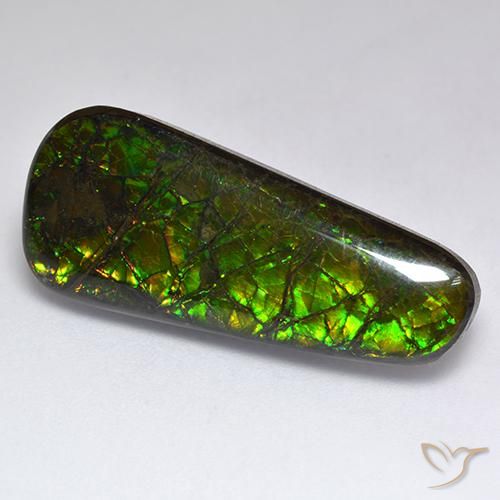 17.04 ct Fancy Ammolite, 28 x 12 mm From Canada, Photo A