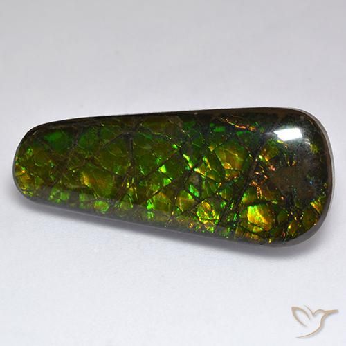 17.04 ct Multicolor Ammolite Stone, Natural Ammolite in Fancy Cabochon Shape for Sale