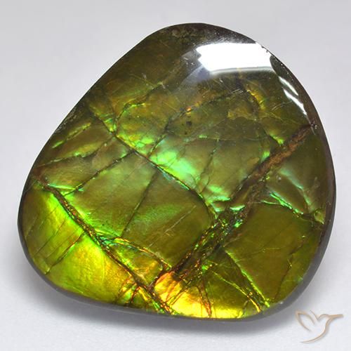 18.81ct Natural Multicolor Ammolite, Fancy, Opaque