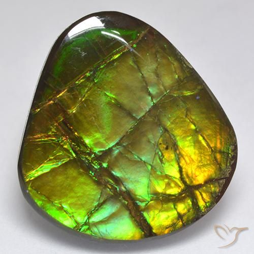 18.81 ct Multicolor Ammolite Stone, Natural Ammolite in Fancy Cabochon Shape for Sale