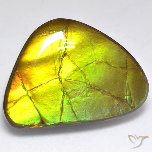 Ammolite Multicolore Fantaisie 19,06 ct du Canada, Dimension 24,4x17,6 mm, Pierre gemme naturelle assemblé, pureté Opaque , 1 pièce d'ammolite fancy cabochon, dureté de Mohs de 4 à 4, Photo A