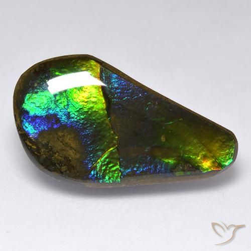 11.35ct Natural Multicolor Ammolite, Fancy, Opaque