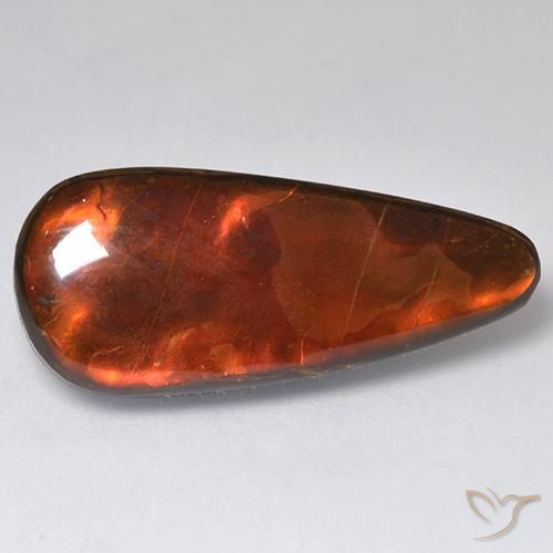 13.57ct Natural Multicolor Ammolite, Fancy, Opaque