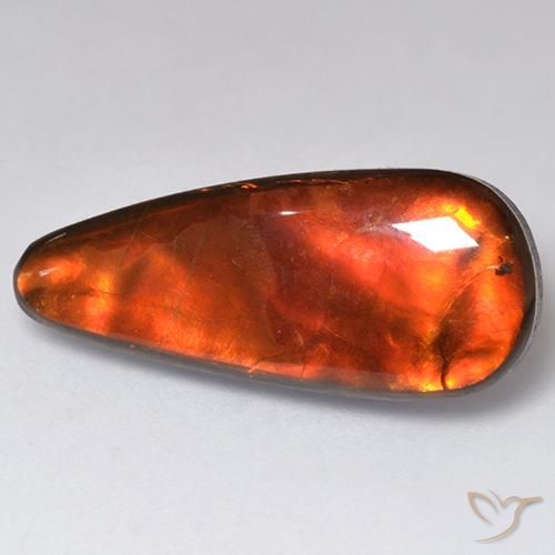 13.57 ct Multicolor Ammolite Stone, Natural Ammolite in Fancy Cabochon Shape for Sale