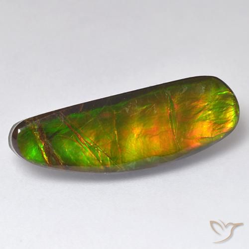 11.01ct Natural Multicolor Ammolite, Fancy, Opaque